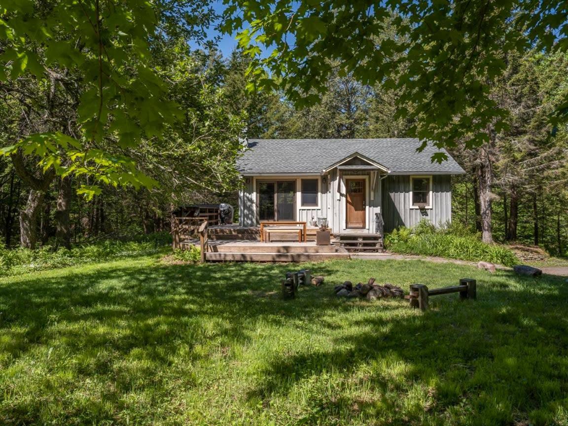 Stony Clove By Summer - Artisan Cottage With Hot Tub Lanesville Exterior foto